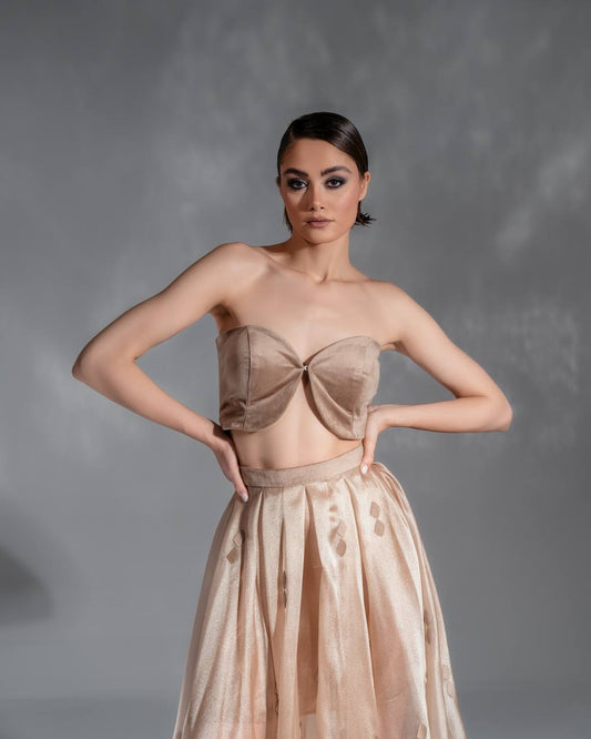 "Ethereal Glow" Velvet and Organza Set by Baharnaz